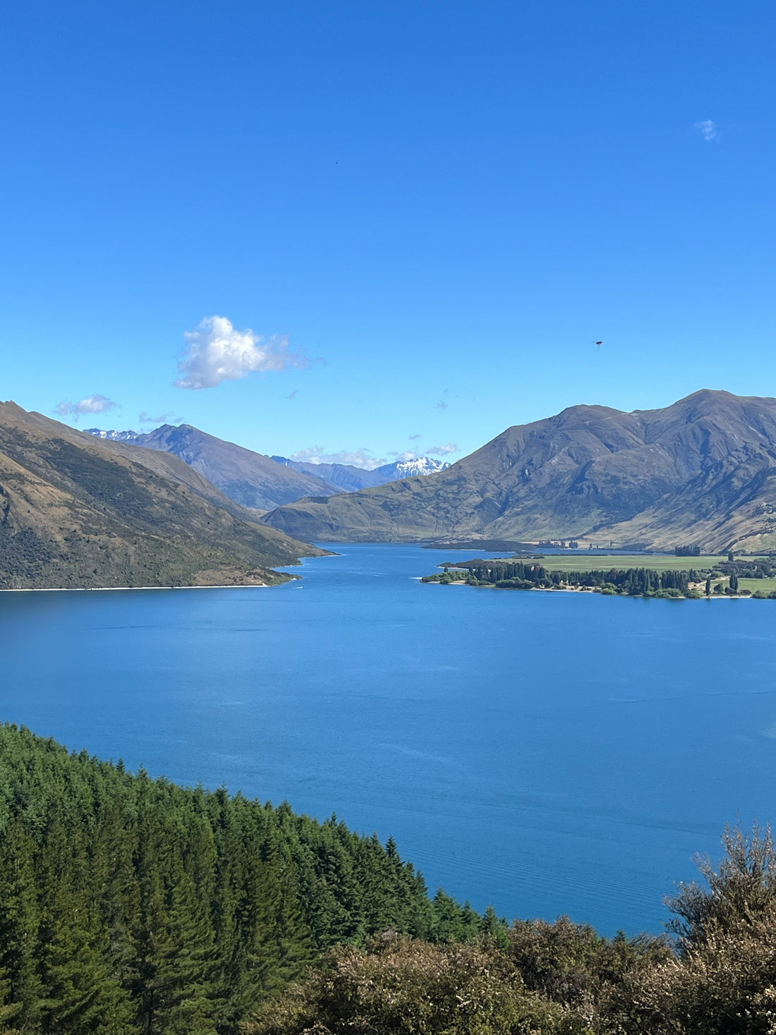 ebike tour Wanaka Wonders your Self-Guided ebike Adventure Awaits