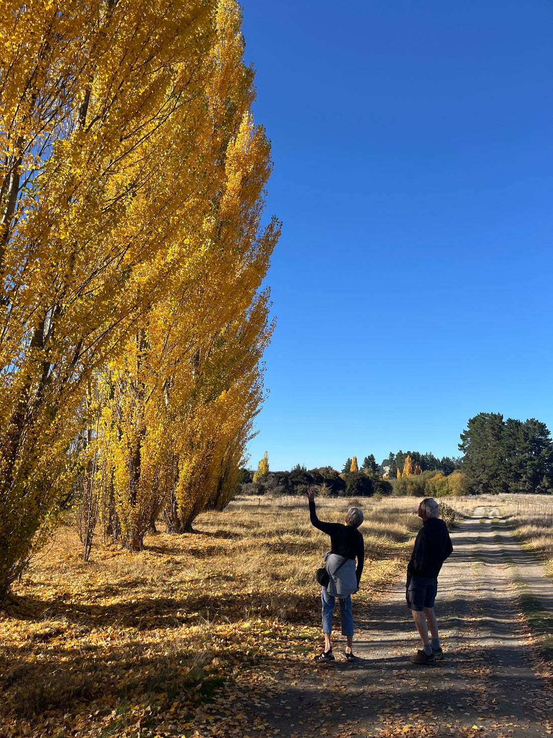 Wānaka Without the Crowds: Hidden Gems You Can Explore by E-Bike