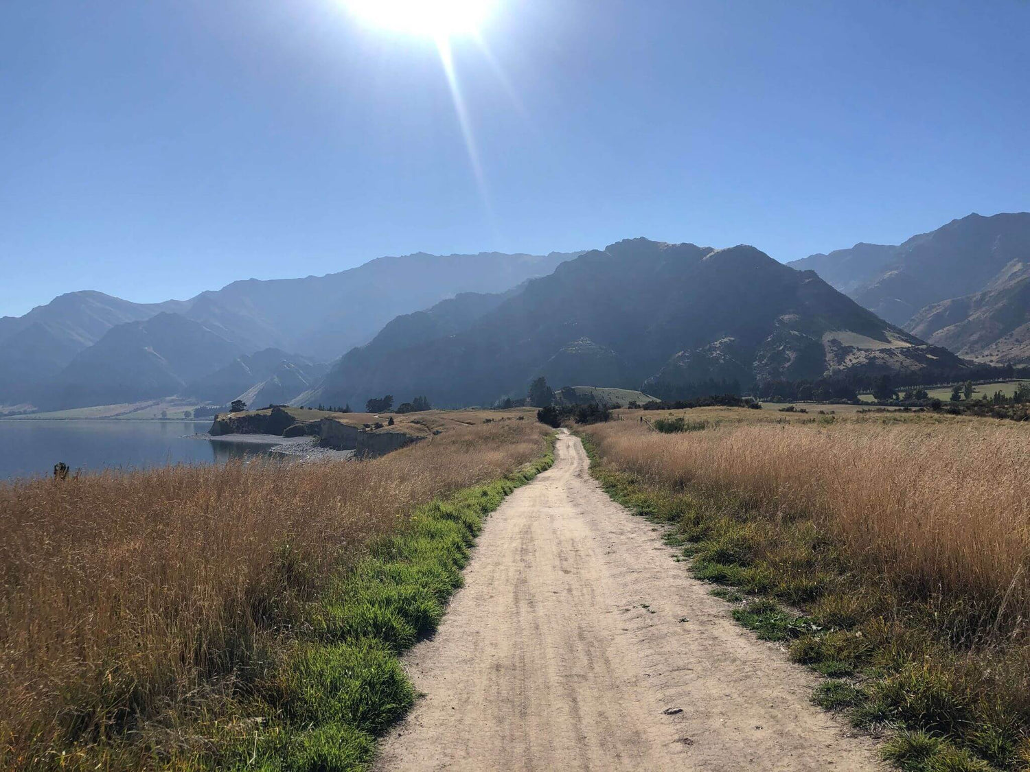 Scenic dirt trail leading through grassy fields toward mountains under a bright sun