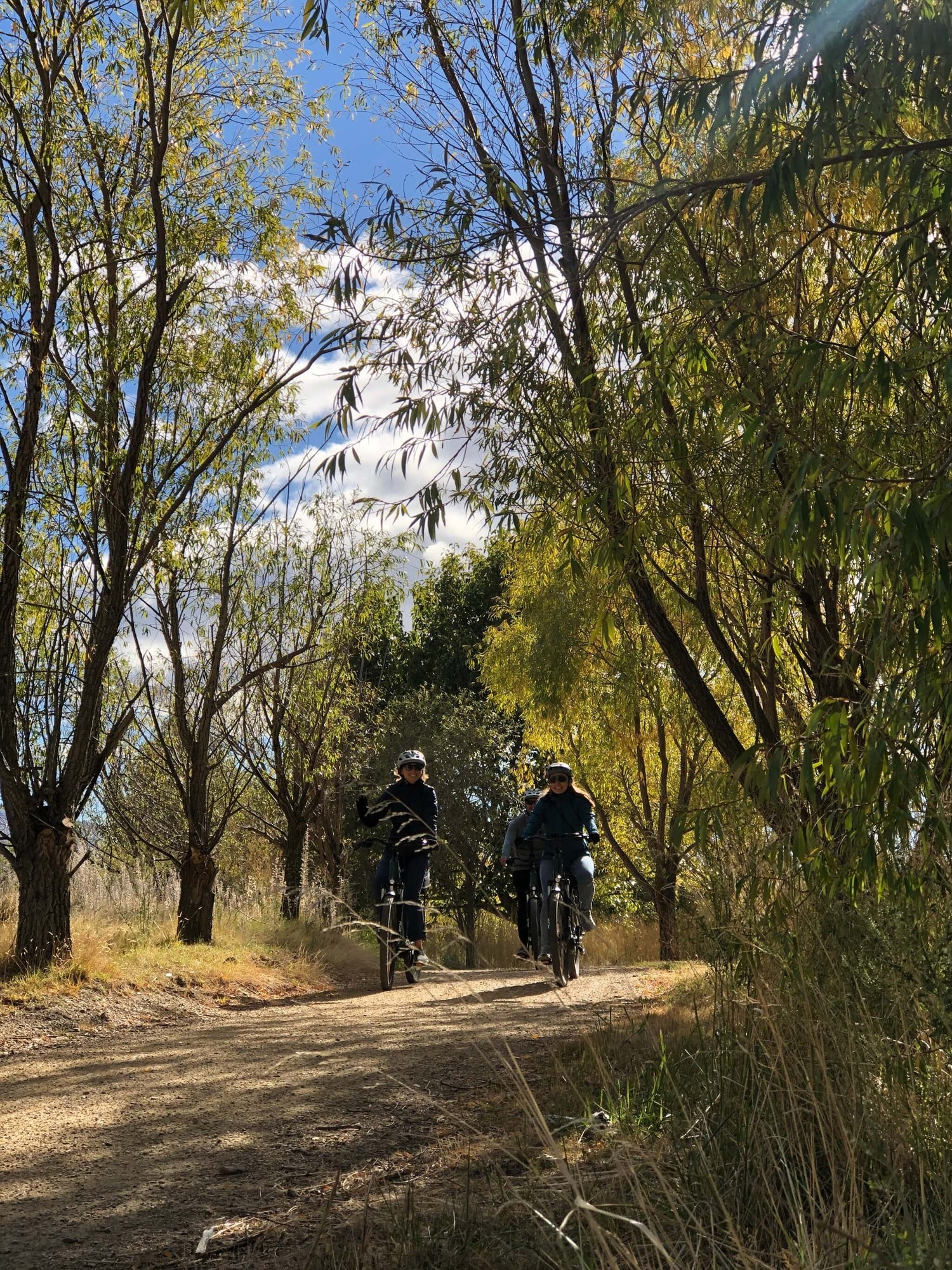 Three cyclists on e-bikes riding through a tree-lined dirt trail