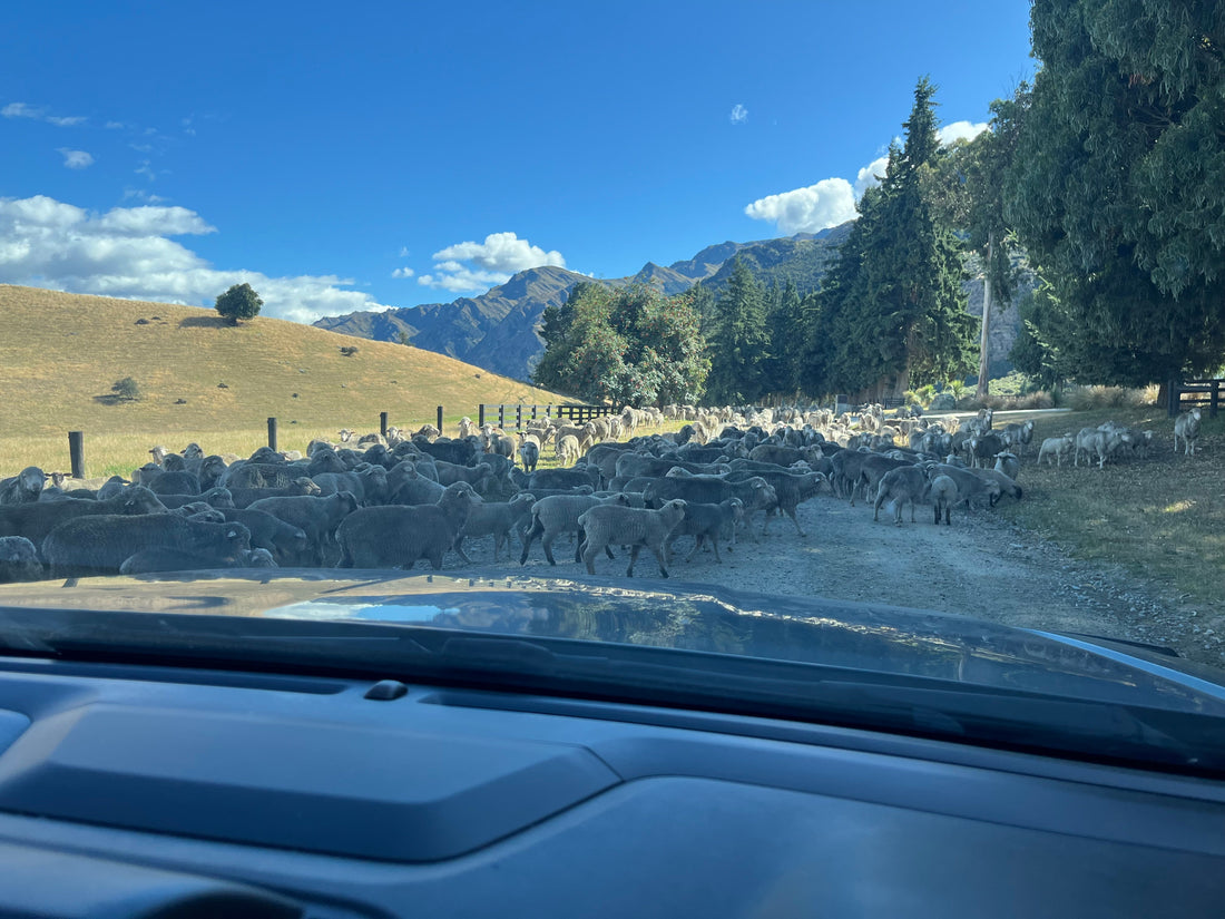 Discover the Ultimate E-Bike Adventure: Exploring Wanaka's Hidden Trails